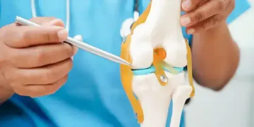 What is the Average Cost of Knee Replacement Surgery?